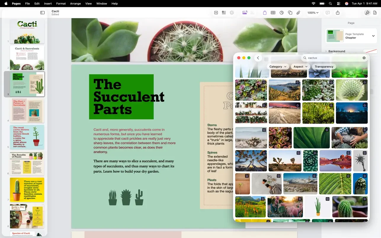 Pages Creator Studio screenshot 3